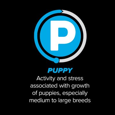 Image showing  Puppy Dry Dog Food