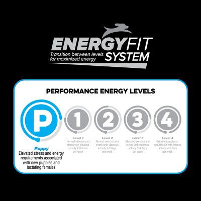 Image showing  Puppy Dry Dog Food