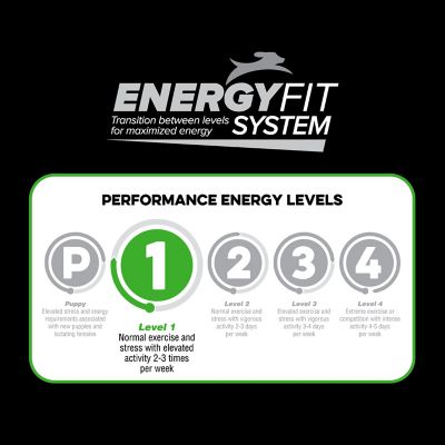 Image showing  Level 1 Dry Dog Food