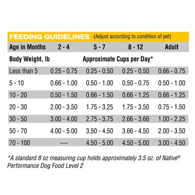 Image showing  Level 2 Dry Dog Food
