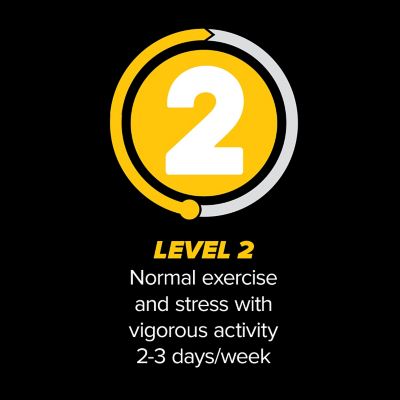 Image showing  Level 2 Dry Dog Food