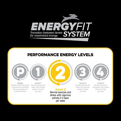 Image showing  Level 2 Dry Dog Food