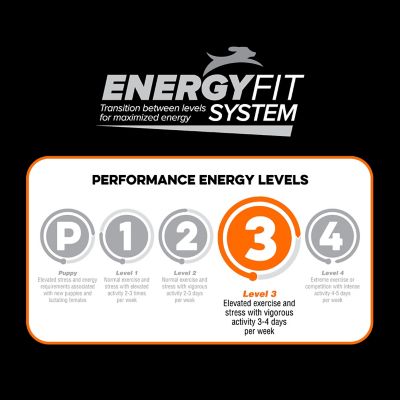 Image showing  Level 3 Dry Dog Food