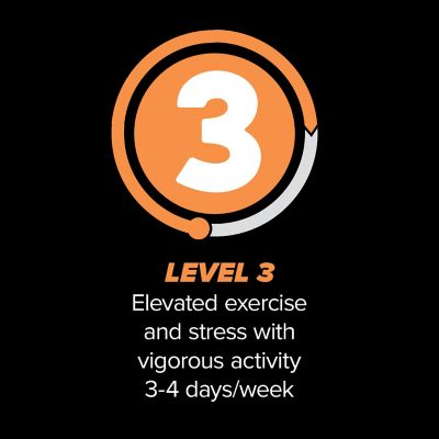 Image showing  Level 3 Dry Dog Food