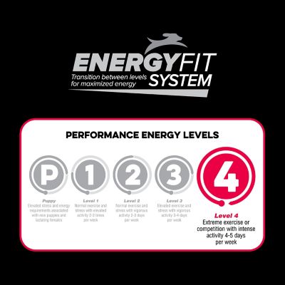 Image showing  Level 4 Dry Dog Food