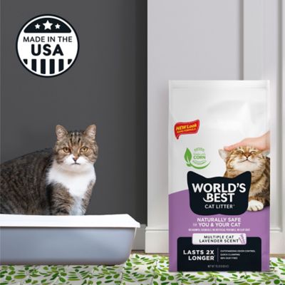 Image showing 5 th World's Best Cat Litter Lavender Scented Clumping Corn Cat Litter, Multi-Cat