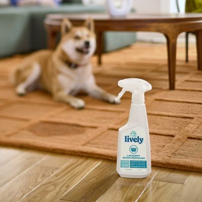 Image showing  Pet Multi Surface Stain & Odor Remover