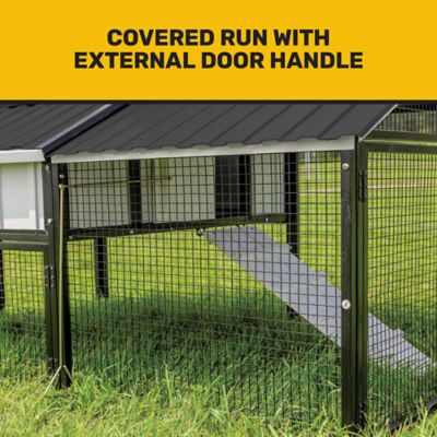 Image showing  Bungalow Coop, 6 Chicken Capacity