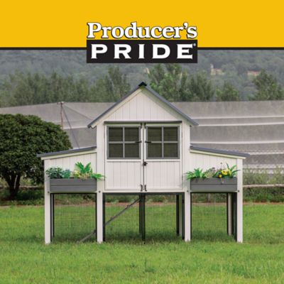 Image showing  Citadel Coop, 14 Chicken Capacity