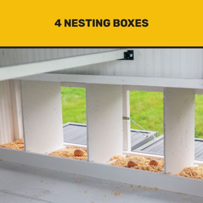 Image showing  Citadel Coop, 14 Chicken Capacity