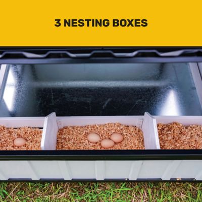 Image showing  Hill Country Chicken Coop, 6 Chicken Capacity