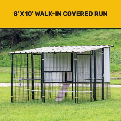 Image showing  Cabana Coop, 14 Chicken Capacity