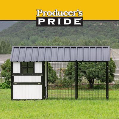 Image showing  Guardian Chicken Coop, 14 Chicken Capacity