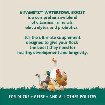 Image showing  VitaMetz Waterfowl Boost Supplement, 4 oz.