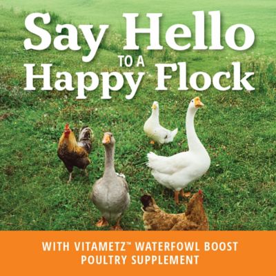 Image showing  VitaMetz Waterfowl Boost Supplement, 4 oz.