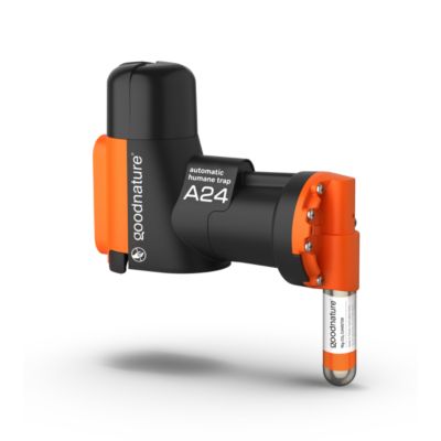 Image showing  A24 Starter Rat & Mouse Trap