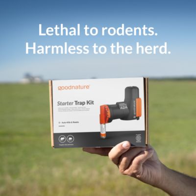 Image showing  A24 Starter Rat & Mouse Trap