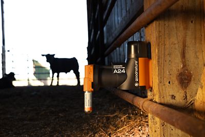 Image showing  A24 Starter Rat & Mouse Trap