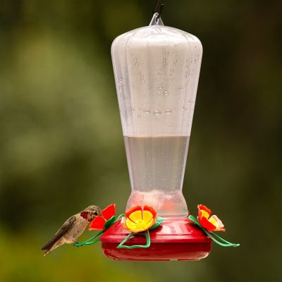 Image showing  Hollyhock With 3 pc. Port