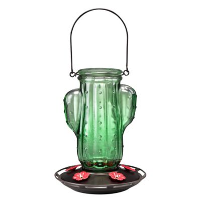 Royal Wing Cactus Glass Hummingbird Feeder
