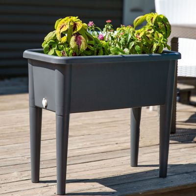 Image showing  Self-Watering Raised Garden Bed with Cloche Cover, 30 W x 14.5 D x 33 H in., Gray