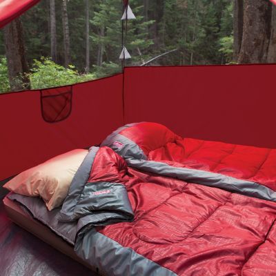 Image showing  4-Person Flatwoods Tent