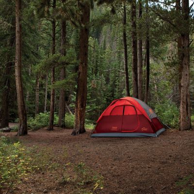 Image showing 5 th Coleman 4-Person Flatwoods Tent