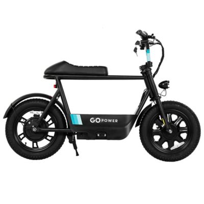 GoPowerBike GoSparky Electric Bike