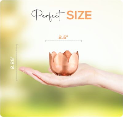 Image showing  Copper Rain Chain - Tulip, 3 ft.