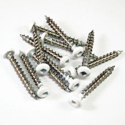 Barrette Outdoor Living 1-1/2 in. Lattice White Stainless Steel Screws (12-Piece/Bag)