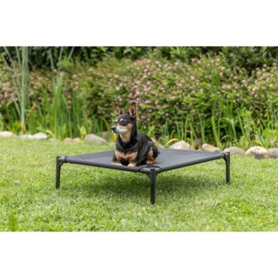 Image showing  2-in-1 Elevated Dog House, Portable Pet Camping Cot & Tent, Raised Bed & Dog Shade