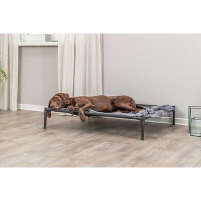 Image showing 12 th TRIXIE 2-in-1 Elevated Dog House, Portable Pet Camping Cot & Tent, Raised Bed & Dog Shade