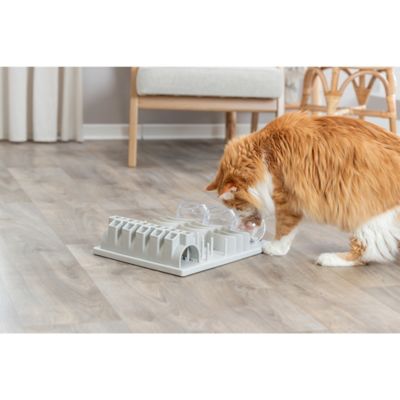 Image showing  Fun Board XXL Strategy Game for Large Cats, Treat Puzzle Toy, Interactive Play, Mental Stimulation