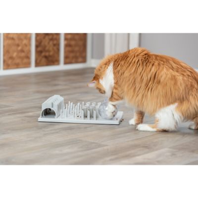 Image showing  Fun Board XXL Strategy Game for Large Cats, Treat Puzzle Toy, Interactive Play, Mental Stimulation