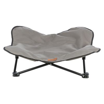 Image showing  Camping Cot for Dogs, Elevated Dog Bed, Folding Padded Pet Bed, Raised Travel Lounger