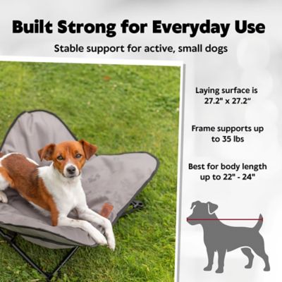 Image showing  Camping Cot for Dogs, Elevated Dog Bed, Folding Padded Pet Bed, Raised Travel Lounger