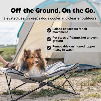 Image showing  Camping Cot for Dogs, Elevated Dog Bed, Folding Padded Pet Bed, Raised Travel Lounger