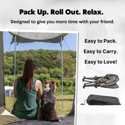 Image showing  Camping Cot for Dogs, Elevated Dog Bed, Folding Padded Pet Bed, Raised Travel Lounger