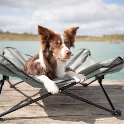 Image showing  Camping Cot for Dogs, Elevated Dog Bed, Folding Padded Pet Bed, Raised Travel Lounger