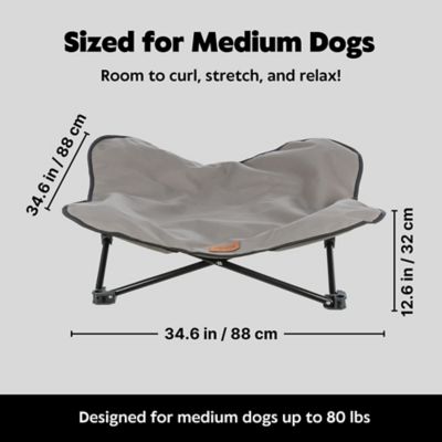 Image showing 6 th TRIXIE Camping Cot for Dogs, Elevated Dog Bed, Folding Padded Pet Bed, Raised Travel Lounger