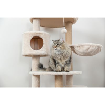 Image showing  Anna 50 in. Cat Tree, Scratching Posts, Cat Tower with Condos, Hammocks, Platforms, Hanging Cat Toy
