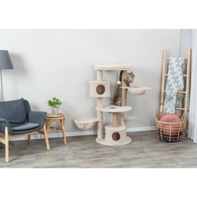 Image showing  Anna 50 in. Cat Tree, Scratching Posts, Cat Tower with Condos, Hammocks, Platforms, Hanging Cat Toy