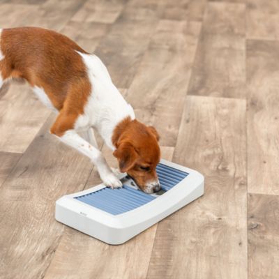 Image showing  Rod Board Level 1 Strategy Game, Beginner Dog Puzzle Toy, Enrichment & Interactive Play, Dog Treat Toy