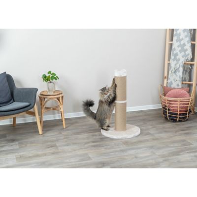 Image showing  Rue 31.5 in. XXL Cat Scratching Post, Sisal Cat Scratcher for Large Cats, Plush Base