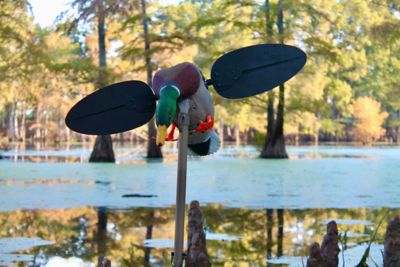 MOJO Mallard Decoy