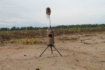 MOJO Fuzzy Critter Decoy