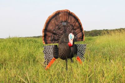 MOJO Scoot n Shoot Max Decoy
