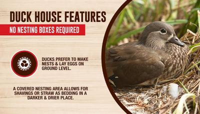 Image showing 6 th Petmate DIY Duck House, 5 Duck Capacity