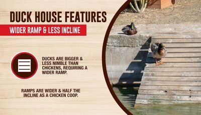 Image showing 7 th Petmate DIY Duck House, 5 Duck Capacity