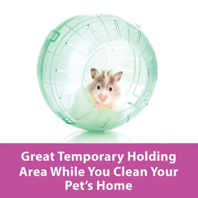 Image showing  Run-About Small Pet Exercise Ball, 7 in., Clear
